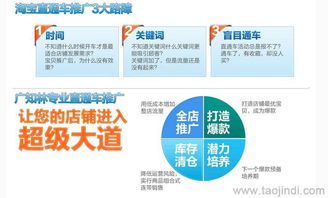 天貓店鋪推廣與運營全攻略 裝修、拍照、產品描述與軟件開發價格解析